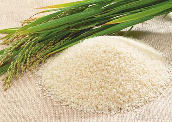 大米厂家,大米批发厂家,合肥大米批发